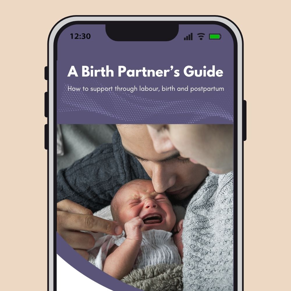A Birth Partner's Guide e-book