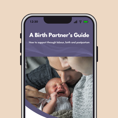 A Birth Partner's Guide e-book
