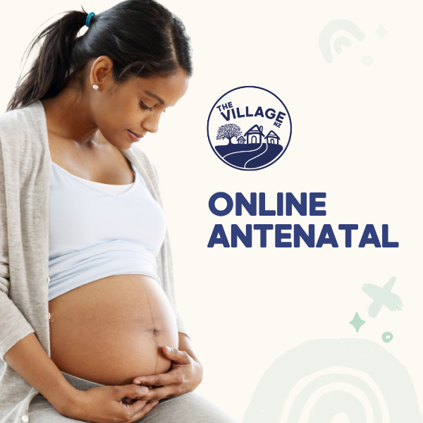 The Village Online Zoom Antenatal Class