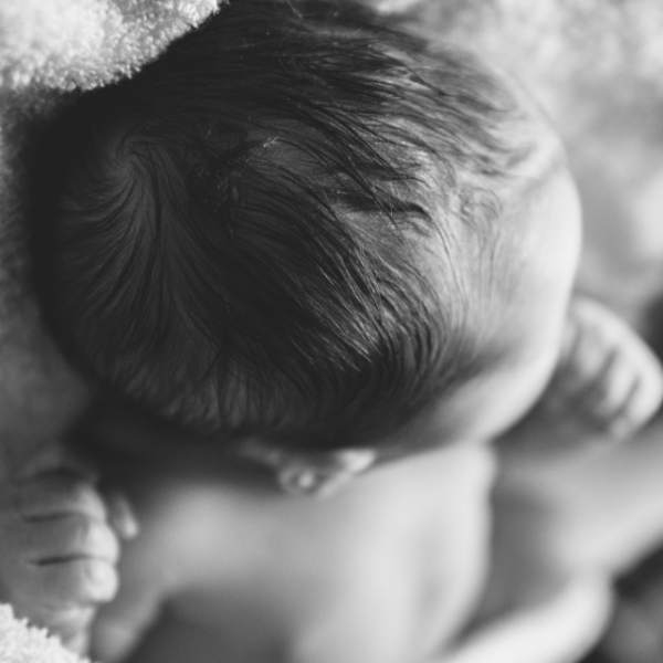 Natural Beginnings