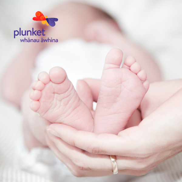 Plunket Dunedin Antenatal Course
