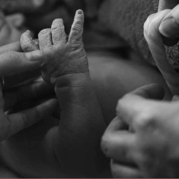 Village Birth Aotearoa