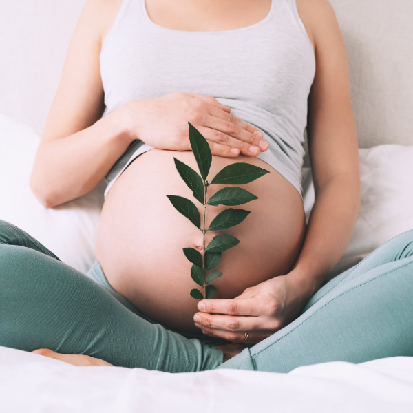 Birth and Bloom